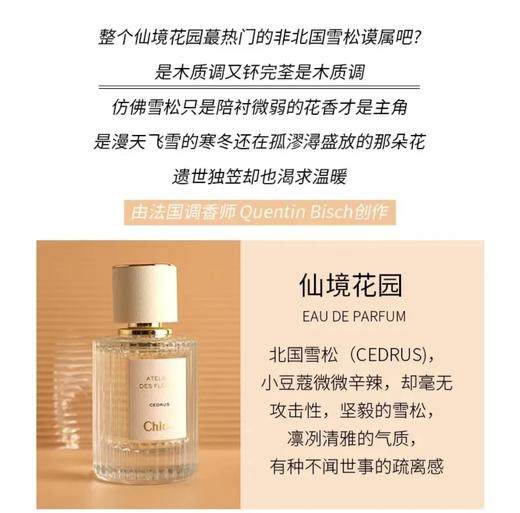 Chloe·蔻依 仙境花园系列-北国雪松香水 纯欲雪松木质调 淡香50ml 商品图5