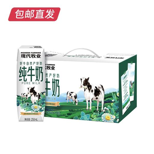 蒙牛 现代牧业 精装纯牛奶  250ml*12盒/箱 2箱/件【CS】（包邮直发）(ZB) 商品图3