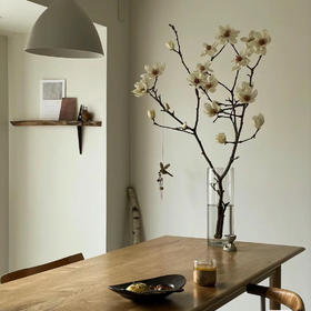 玉兰干枝白色丨草花【超长花材单独发货】