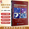 细胞病理学病例精粹 陆霓虹 杜映荣主译 液体脱落细胞学细针穿刺案例 细胞学特征图片病史诊断选择及答案解析 北京大学医学出版社 商品缩略图0