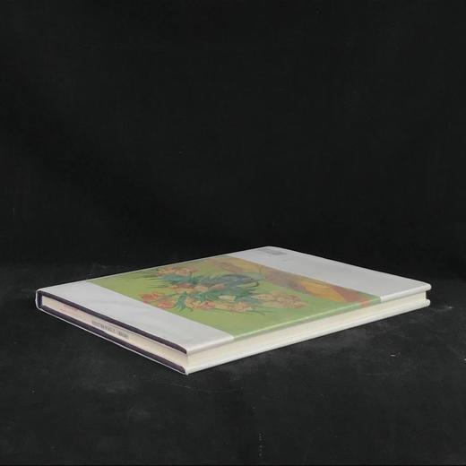 梵高画集 70幅插图（49幅彩色插图） 精装大16开 商品图2