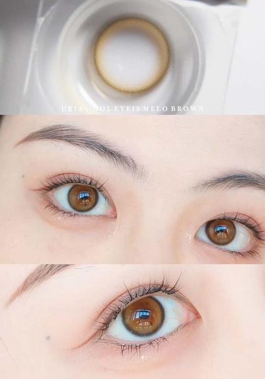 idol 半年抛  美洛棕 直径14.0mm着色13.0mm 商品图4