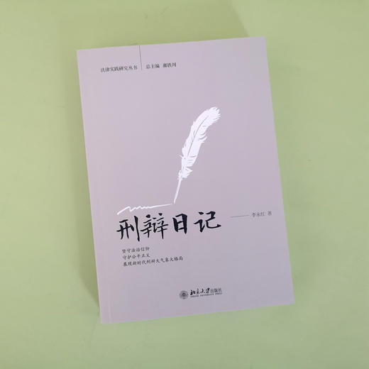 刑辩日记 李永红 北京大学出版社 商品图3