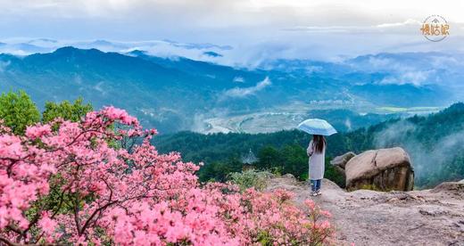 信阳慢姑娘榴园别墅轰趴 商品图12