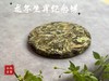 【珍藏级白茶饼】2024年龙年生肖纪念饼《辰龙盛世》，春白茶的冰沁、秋白茶的甜醇，尽在这一饼！ 商品缩略图3
