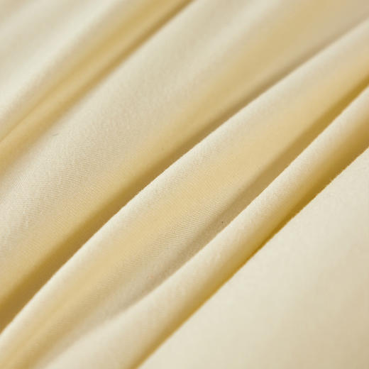 卓凡尼·华伦天奴 软糯玉米暖暖被（含软包散装）GV8411BZ 商品图4