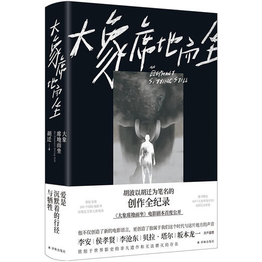 大象席地而坐（电影剧本完整公开，随书赠送花絮别册）胡迁 著 商品图0