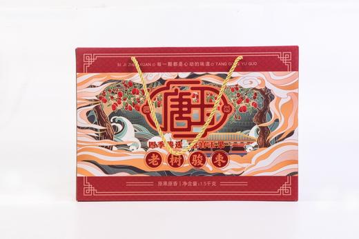 唐玉老树骏枣1.5kg 商品图0