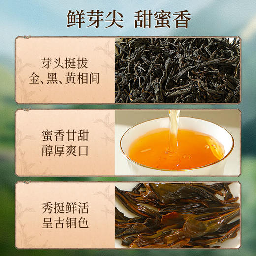 正山堂 广元红礼盒装 四川特级正宗骏眉中国红茶茶叶送礼长辈120g 商品图3