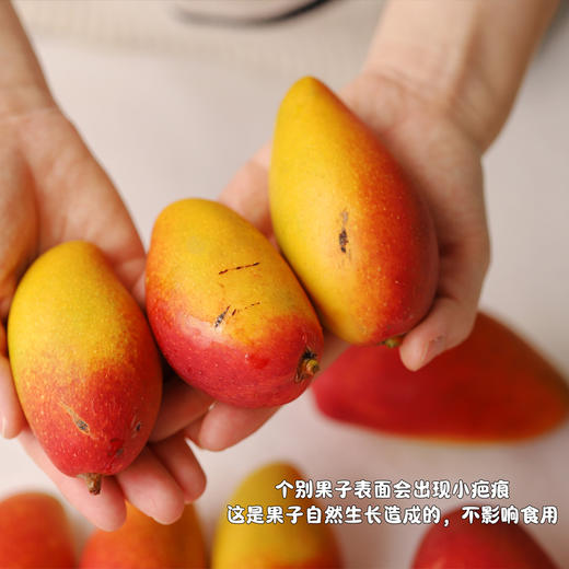 三亚贵妃芒（树上自然熟) 商品图6