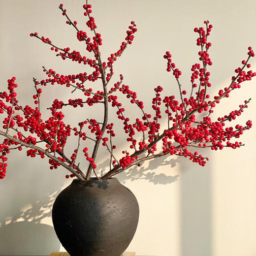 年宵花丨天物北美冬青丨 A级 商品图0