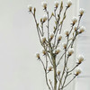 玉兰干枝白色丨草花【超长花材单独发货】 商品缩略图5