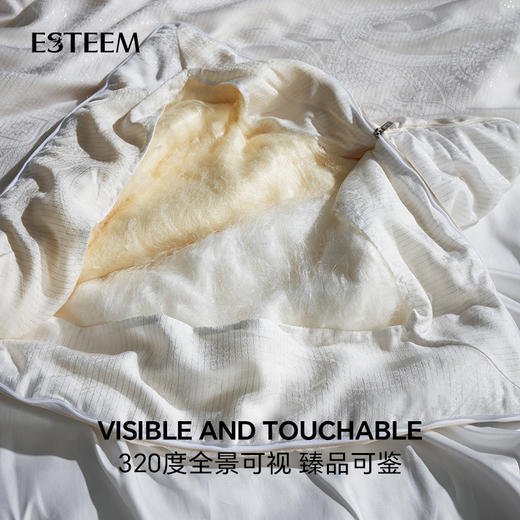 双奢可视黄金白玉桑蚕丝冬被 商品图3