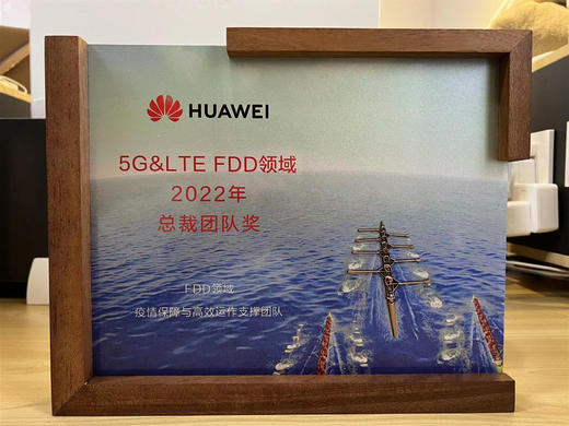 【logo定做FDD领域总裁团队奖】优秀员荣誉奖座 商品图4