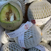 周五下午小区门口自提！可口蜜网纹瓜，冰淇淋口感，超甜，水份足，一口满满瓜香，一组两粒 商品缩略图1