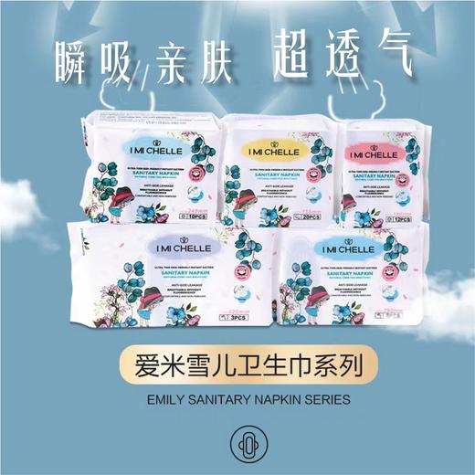 爱米雪儿超薄亲肤瞬吸卫生巾 商品图0