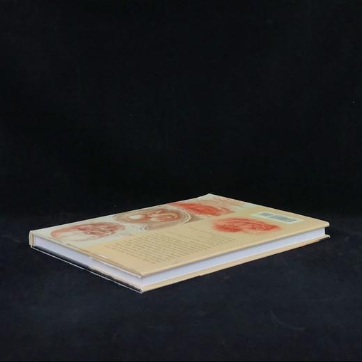 达·芬奇眼中的世界 约百幅插图 精装大16开 商品图2