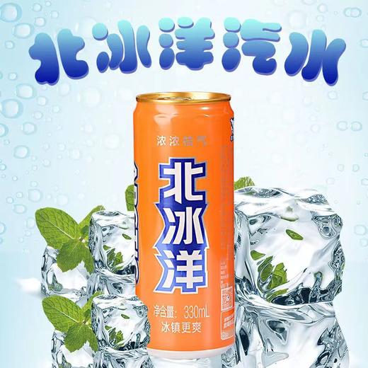 北冰洋听装橙汁汽水330ml*24 商品图2