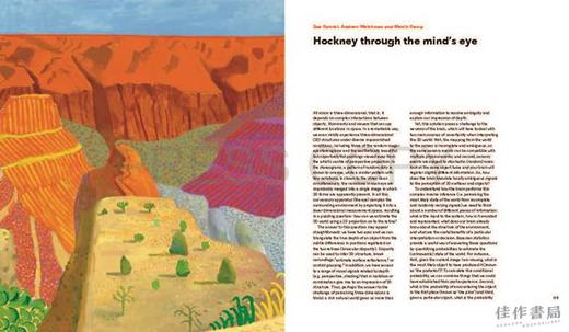 Hockney's Eye: The Art and Technology of Depiction / 霍克尼之眼：描绘的艺术与技术 商品图3