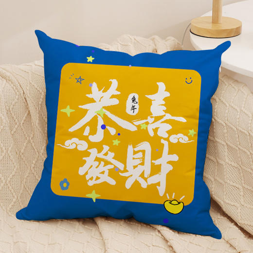 沙发抱枕【国潮文字毛绒发财抱枕】家居装饰 发财暴富 新年抱枕套 商品图10