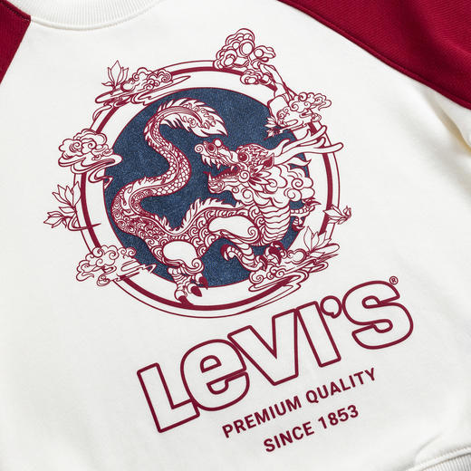 LEVIS 春 大童小童 儿童童装卫衣 LVB-FW-K566 商品图3