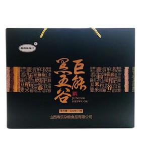 粥日食丨黑小麦 黑麦仁500g*2罐 五谷杂粮农家粗粮黑麦面包原料