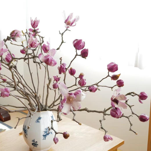 玉兰干枝紫粉色丨草花 商品图4