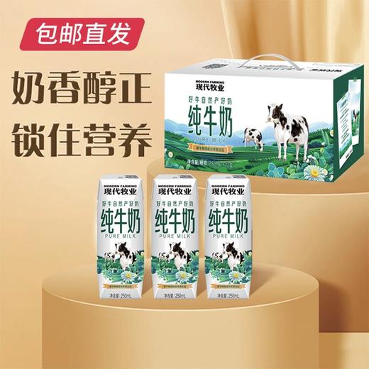 蒙牛 现代牧业 精装纯牛奶  250ml*12盒/箱 2箱/件【CS】（包邮直发）(ZB) 商品图0