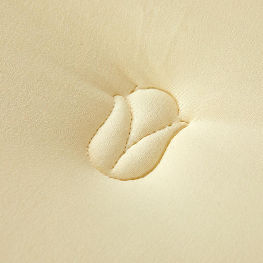 卓凡尼·华伦天奴 软糯玉米暖暖被（含软包散装）GV8411BZ 商品图2