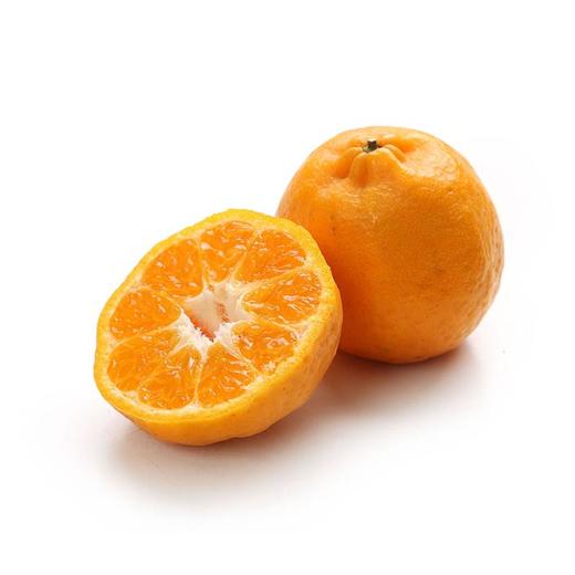 MAP·四川春见耙耙柑4.5kg礼盒装 商品图2