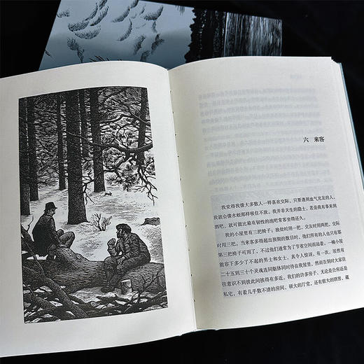 瓦尔登湖（插图珍藏版）“自然随笔之父”梭罗代表作 翻译名家孙致礼 自然极简隐居 版画 经典插图名著 商品图1