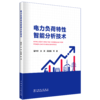 电力负荷特性智能分析技术 商品缩略图0