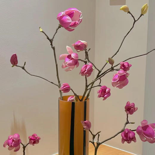 玉兰干枝紫粉色丨草花 商品图1