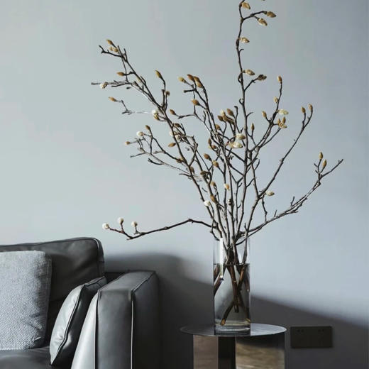 玉兰干枝白色丨草花【超长花材单独发货】 商品图4