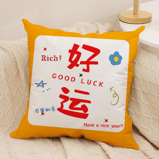 沙发抱枕【国潮文字毛绒发财抱枕】家居装饰 发财暴富 新年抱枕套 商品图4