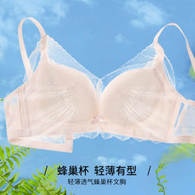 雅黛丽内衣小胸薄款透气蜂巢杯文胸刺绣甜美蕾丝美背无钢圈胸罩女
