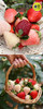 【五色草莓🍓】遇见莓好 基地直发✈️包邮 商品缩略图7