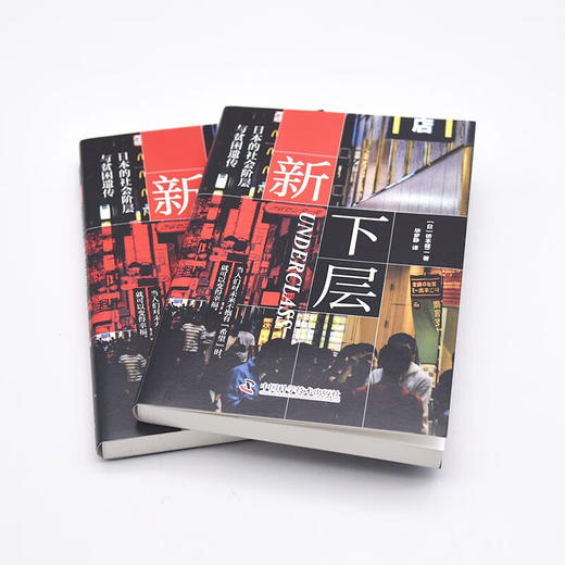 新下层 日本的社会阶层与贫困遗传 桥本健二  著 社会科学 商品图3