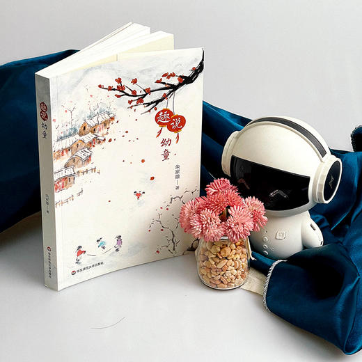 趣说幼童 朱家雄著 幼儿教育 探究有关幼童的知识 学前教育专业 商品图4