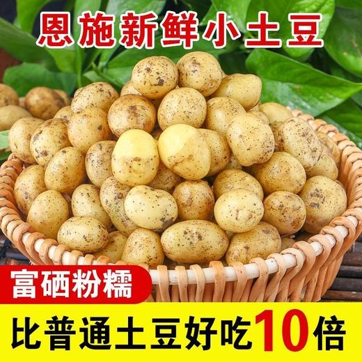 2024新土豆 湖北恩施富硒黄心小土豆2500g HHNY 商品图0