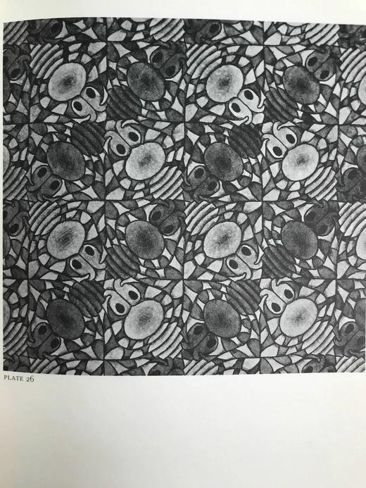 幻想与对称：埃舍尔纹样设计图集 42幅插图（12幅彩色） 精装16开 商品图12