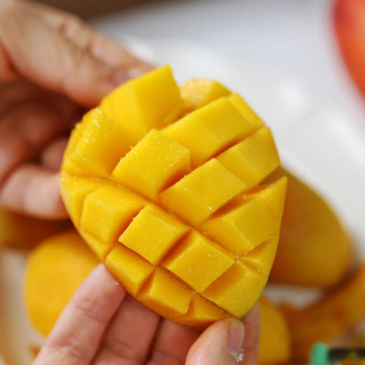 三亚贵妃芒（树上自然熟) 商品图7