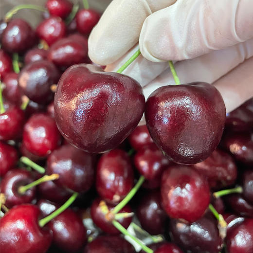 进口车厘子  单J  (5KG/件） 商品图1