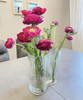 【富贵吉祥】经典版洋牡丹  多色可选  约8-10枝/扎 商品缩略图9
