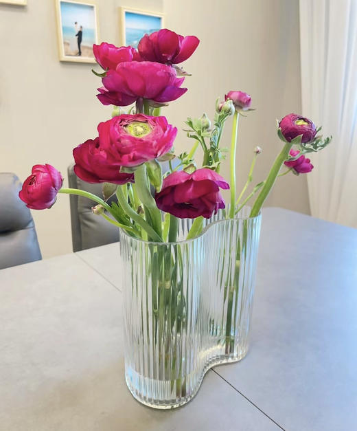 【富贵吉祥】经典版洋牡丹  多色可选  约8-10枝/扎 商品图9