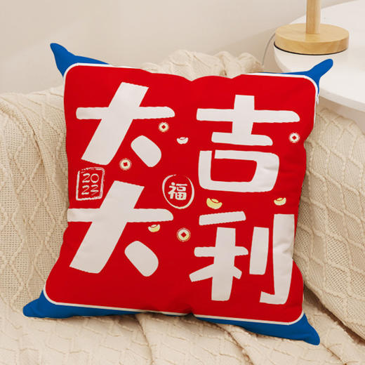 沙发抱枕【国潮文字毛绒发财抱枕】家居装饰 发财暴富 新年抱枕套 商品图9