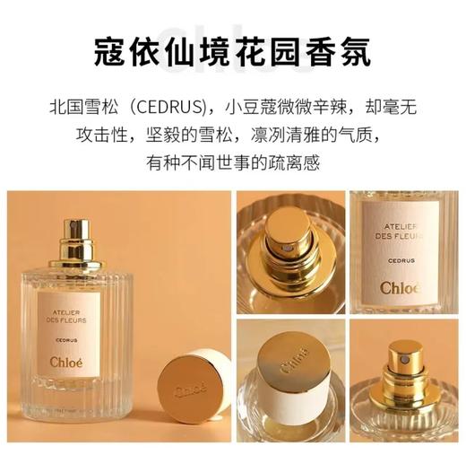 Chloe·蔻依 仙境花园系列-北国雪松香水 纯欲雪松木质调 淡香50ml 商品图6