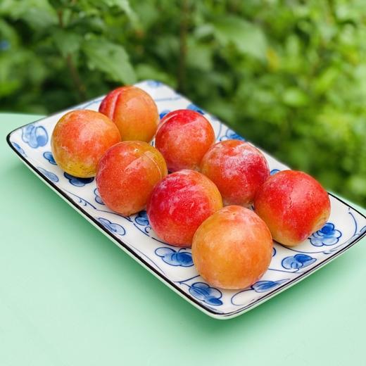 智利樱桃李🍒 樱桃与李子的完美“混血”结合 ，看起来像李子，吃起来比樱桃还甜美😘😘橘黄色果肉娇艳欲滴，咬一口蜜汁四溅，细致脆爽，甜蜜里透着点酸，味道太足了～ 果子最佳熟度，绝味好吃😋😋♥️ 商品图6
