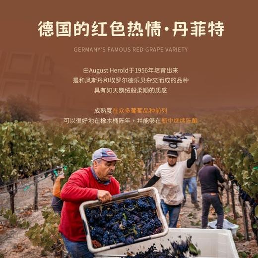 【酒庄三次登顶知名杂志封面】德国菲特可可慕斯红葡萄酒 德国原瓶进口 8%vol 商品图8