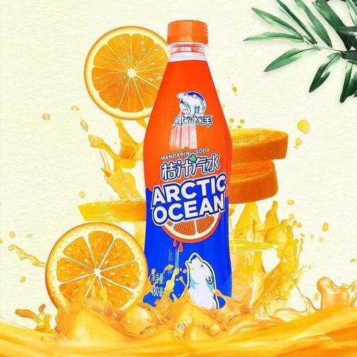 北冰洋480PET普通版480ml*15 商品图3